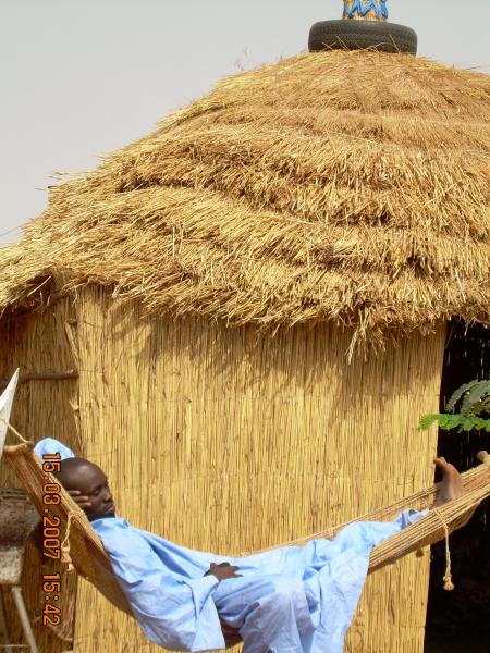 mame cheikh fall