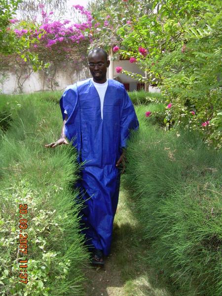 mame cheikh fall