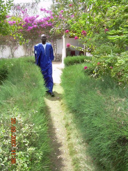 mame cheikh fall