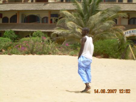 mame cheikh fall