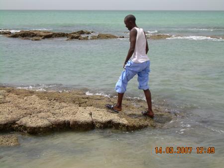 mame cheikh fall