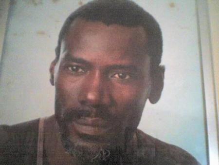seringe fallou fall
