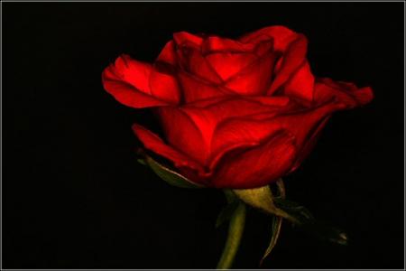 un amour avisé