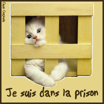 LE PRISONIER DE L'AMOUR