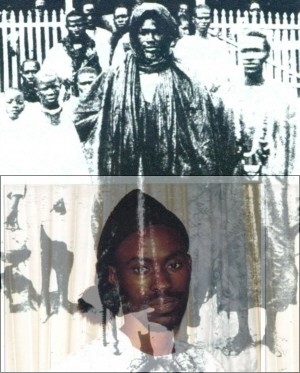mame cheikh ibrahima fall